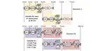 An SDPF RISC-V Processor with Two-stage Pseudo-pipelined Architecture for IoT Applications